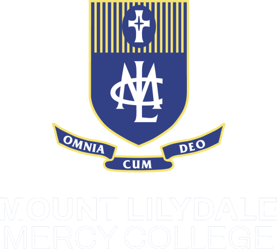 Mt Lilydale Sibling Photos Booking 2026